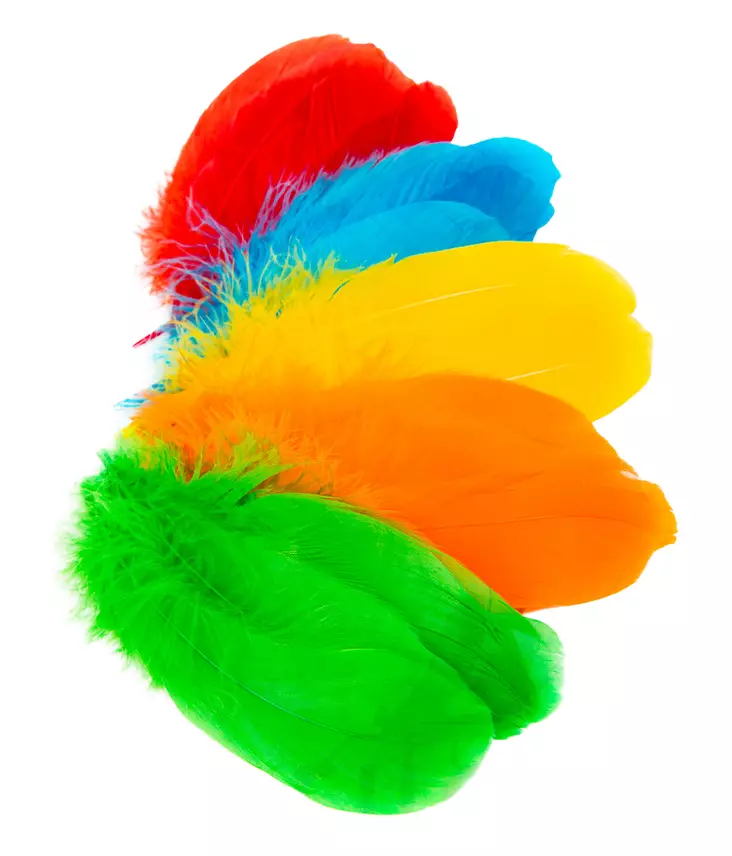 Veniard Goose Shoulder - Classic Feathers - 40450200001 - 1