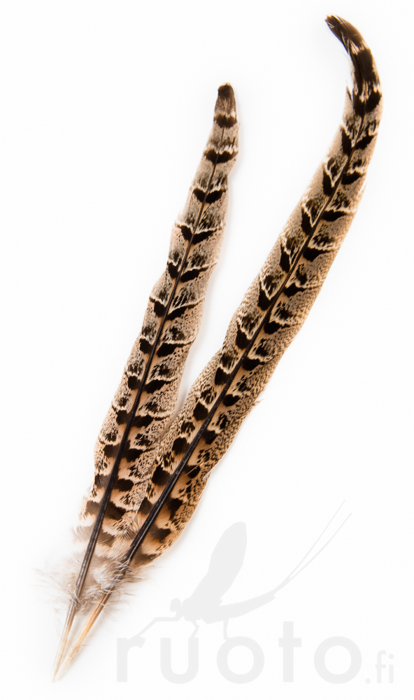 Hen Pheasant Centre Tails - Tails - 5056304604616 - 1