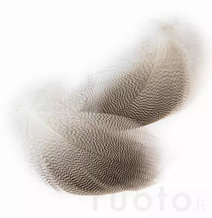 Veniard Mallard Drake Grey Flank - Classic Feathers - 5056304602261 - 1