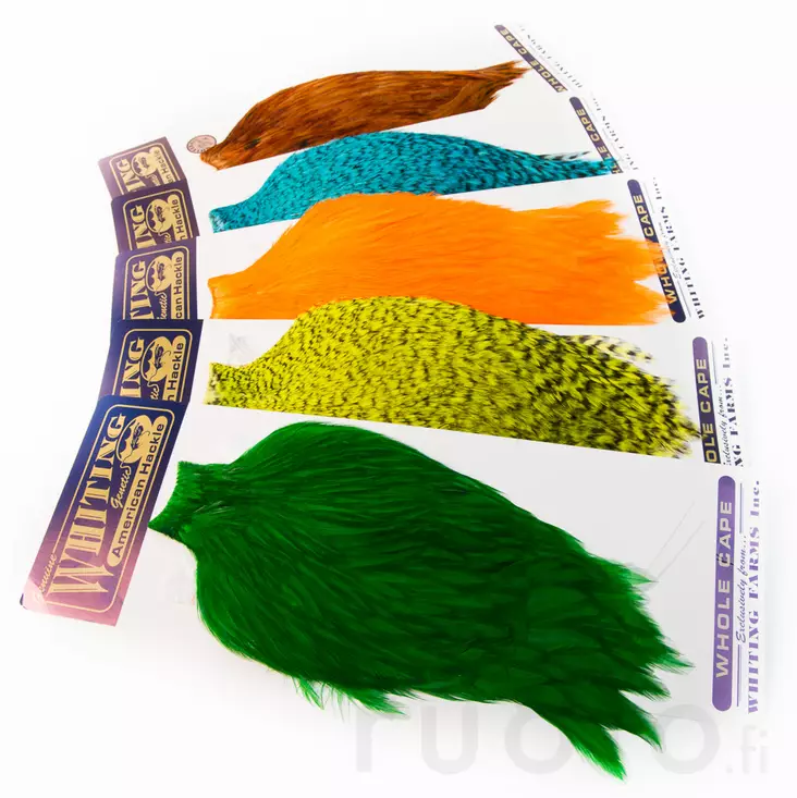 Whiting American Rooster Cape - Other Capes and Saddles - 40350200001 - 1