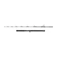 Penn Regiment IV Jig Cast 6' 20-30lb - Jigging Rods - 031324001992 - 2