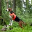 Finnero Ukko Hunting Vest Red/Yellow - Dog Vest & Cloths - 6438406007592 - 10