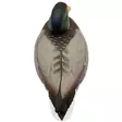 Final Approach Live Full Body Mallards 12pcs - Decoys - 071617045602 - 2