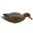 Final Approach Live Full Body Mallards 12pcs - Decoys - 071617045602 - 11