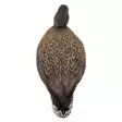 Final Approach Live Full Body Mallards 12pcs - Decoys - 071617045602 - 8