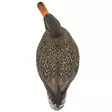 Final Approach Live Full Body Mallards 12pcs - Decoys - 071617045602 - 4