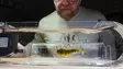 Flymen Fishing Co Fly Tester - Other Tools - 7081385297462 - 10