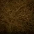 FTS CDC Dubbing 1g - Dubbings - 40600100012 - 8
