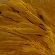 Futurefly Signature Soft Hackle - Hen Capes And Saddles - 40350200222 - 4