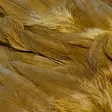 Futurefly Signature Soft Hackle - Hen Capes And Saddles - 40350200222 - 5