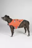 Hundra Dog Life Jacket - Dog Vest & Cloths - 6438347048432 - 5