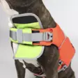 Hundra Dog Life Jacket - Dog Vest & Cloths - 6438347048432 - 4