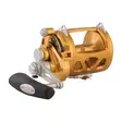Penn International 30VISW Gold - Saltwater Spinning Reels - 031324167032 - 1
