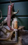 Pohjolan Tulet Wild Boar - Knives and Blades - 55002500012 - 2