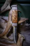 Pohjolan Tulet Wild Boar - Knives and Blades - 55002500012 - 1