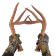 Primos Fightin' Horns - Calls and Decoys - 10135007102 - 1