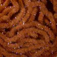 Soldarini Wormstasy UV Chenille - Chenilles - 40300200262 - 13