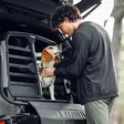Thule Allax Double M Compact - Other Dog Accessories - 197074757562 - 6