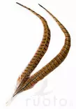Veniard Cock Pheasant Centre Tails - Tails - 404503000022 - 1