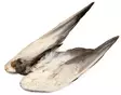 Veniard Mallard Duck Wings - Skins, Wings and Heads - 5056304601943 - 2