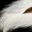 Veniard Whole Bucktail Large - Tails - 40500100022 - 11