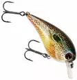 Westin BuzzBite Crankbait 6cm 13g - Wobblers 6-10 cm - 154572 - 11