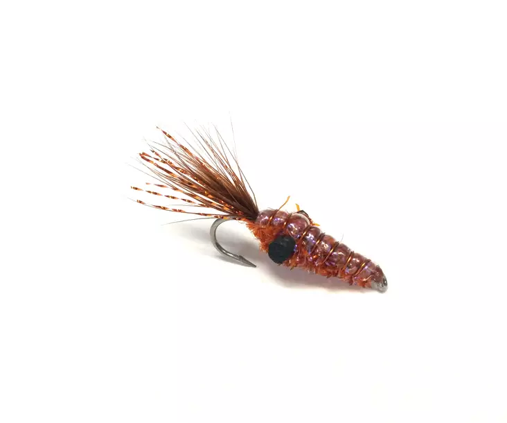 Copper Shrimp - Shrimps - 7033840463752 - 1