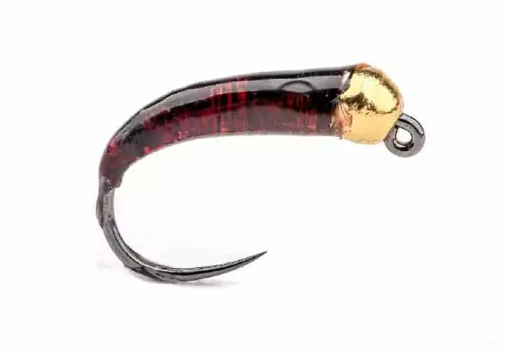 Glue Larva Brown Gold Bead - Wet Flies - 8859202512 - 1