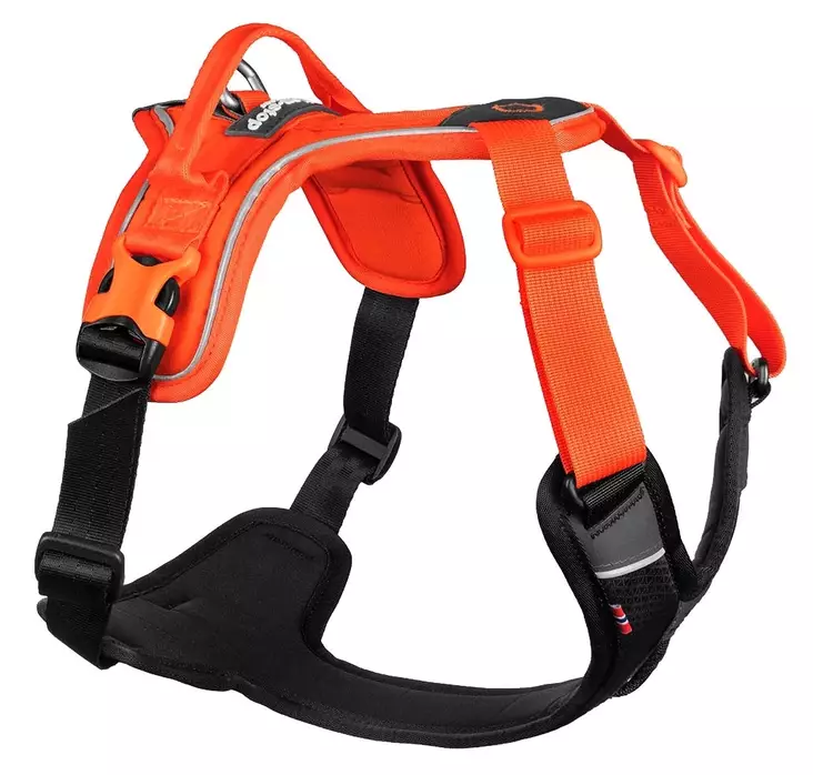 Non-stop Dogwear Ramble Harness Black/Orange - Dog Harness - 7071652018272 - 1