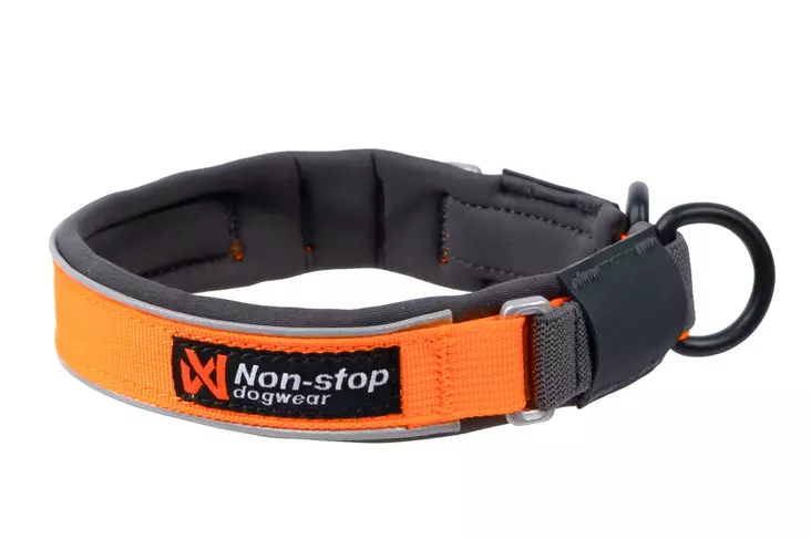 Non-stop Protector Collar #45 - Dog Leash - 7071652141512 - 1