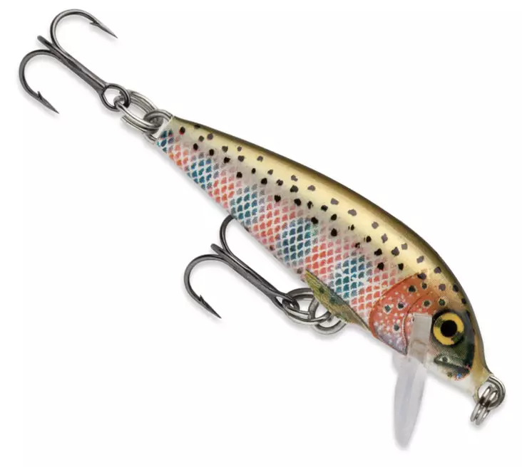 Rapala Countdown Wobbler 11cm Rainbow Trout (RT) 16g, sinking, 1 Stück