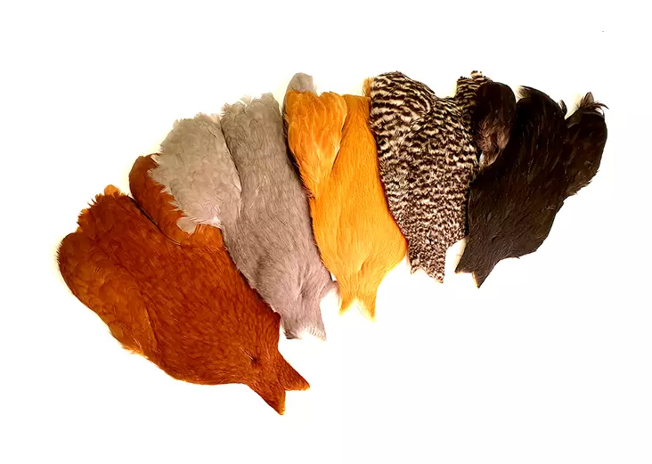 Whiting 4B's Hen Cape - Other Capes and Saddles - 748012 - 1