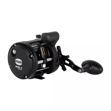 Penn Rival II Level Wind 30 LC LH - Saltwater Spinning Reels - 031324017863 - 2