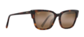 Maui Jim Kou - Tortoise Frame with HCL Bronze Lens - Glass Lenses - 603429070953 - 1