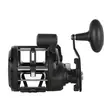 Penn Rival II Level Wind 30 LC LH - Saltwater Spinning Reels - 031324017863 - 3