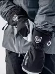 Hestra Army Leather Heli Ski Mitten - Gloves - 7332540615073 - 3