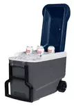 Igloo Maxcold R 38l Cooler Dark Gray - Coolers - 0034223350253 - 5