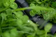 Leica Loom Eyepiece 25x - 50x WW ASPH. - Spotting Scopes - 4022243410213 - 3