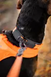 Non-stop Protector Collar #40 - Dog Leash - 7071652141413 - 4