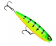 Rapala Precision Xtreme Pencil 10.7cm - Topwater lures - 340040033 - 5
