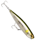 Rapala Precision Xtreme Pencil Saltwater 12,7cm - Topwater lures - 2502202413 - 3