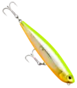 Rapala Precision Xtreme Pencil Saltwater 12,7cm - Topwater lures - 2502202413 - 6