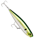 Rapala Precision Xtreme Pencil Saltwater 12,7cm - Topwater lures - 2502202413 - 12