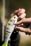 Rapala Screw Diver System Weights - Weights for spinfishing - 022677350783 - 4