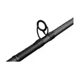Savage Gear Fury SG2 Boat 2,13m 100-250g - Boat & Pilk Rods - 5706301016553 - 3