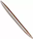 Savage Gear Line Thru Sandeel 27g - Slim profile - 1710010003 - 2