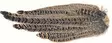 Hen Pheasant Complete Tail - Tails - 5056304604623 - 1