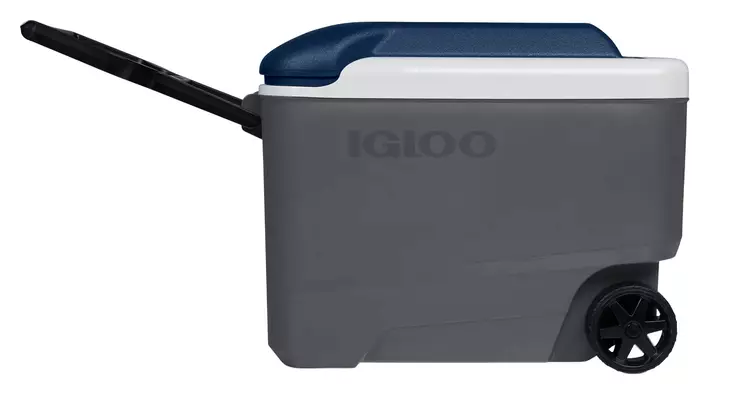 Igloo Maxcold R 38l Cooler Dark Gray - Coolers - 0034223350253 - 1
