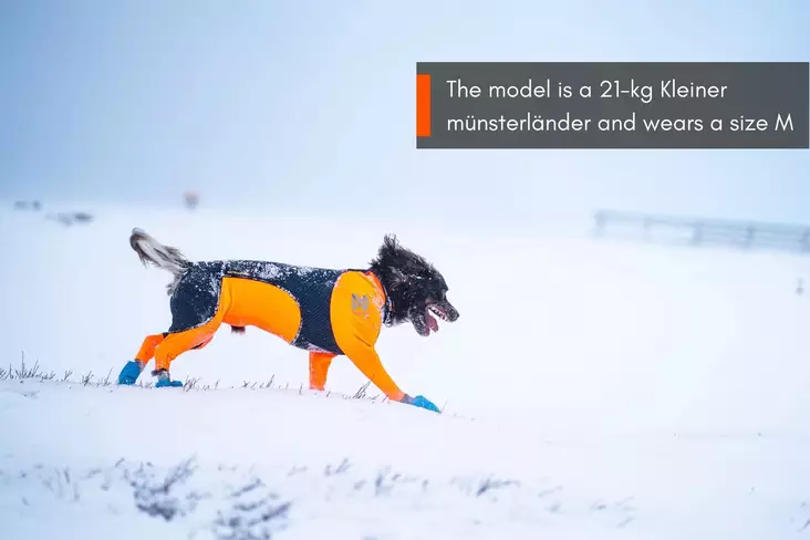 Non-stop Dogwear Protector Snow Male - Ruoto.com webstore