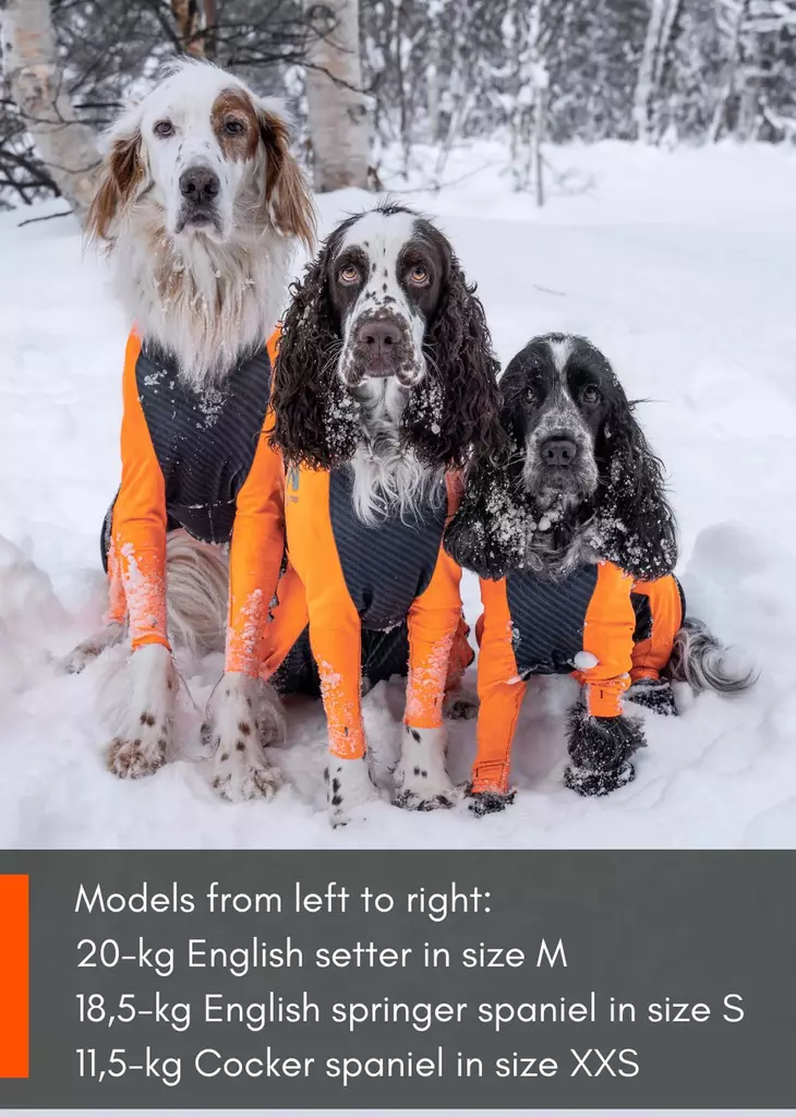 Non-stop Dogwear Protector Snow Male - Ruoto.com webstore